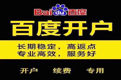 推广竞价策略优化：借鉴成功案例实现精准营销